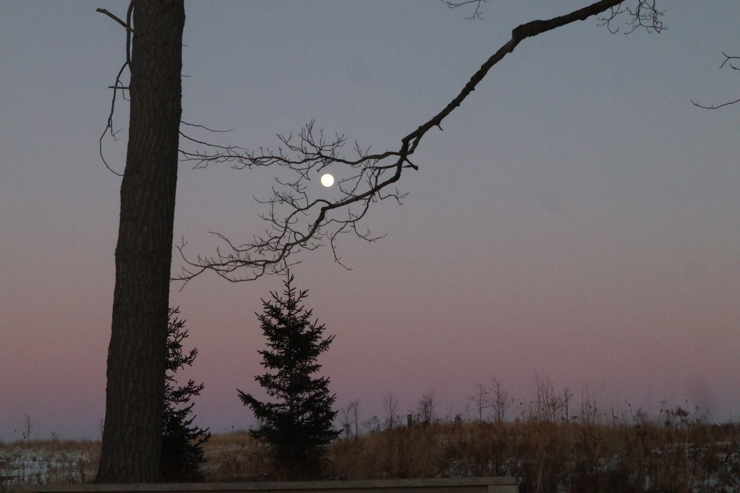 Photography 23
